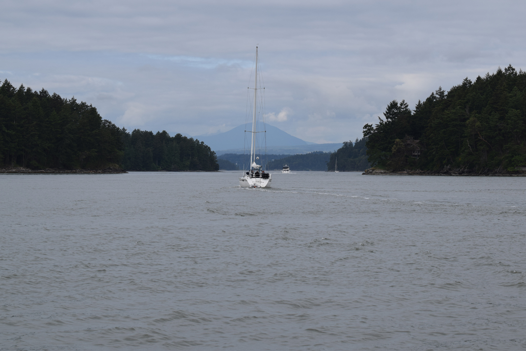 DSC_0308