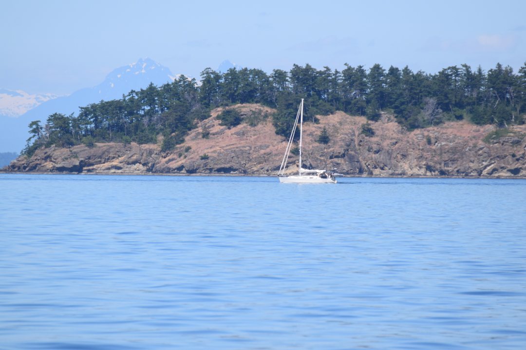 DSC_1005 (101)