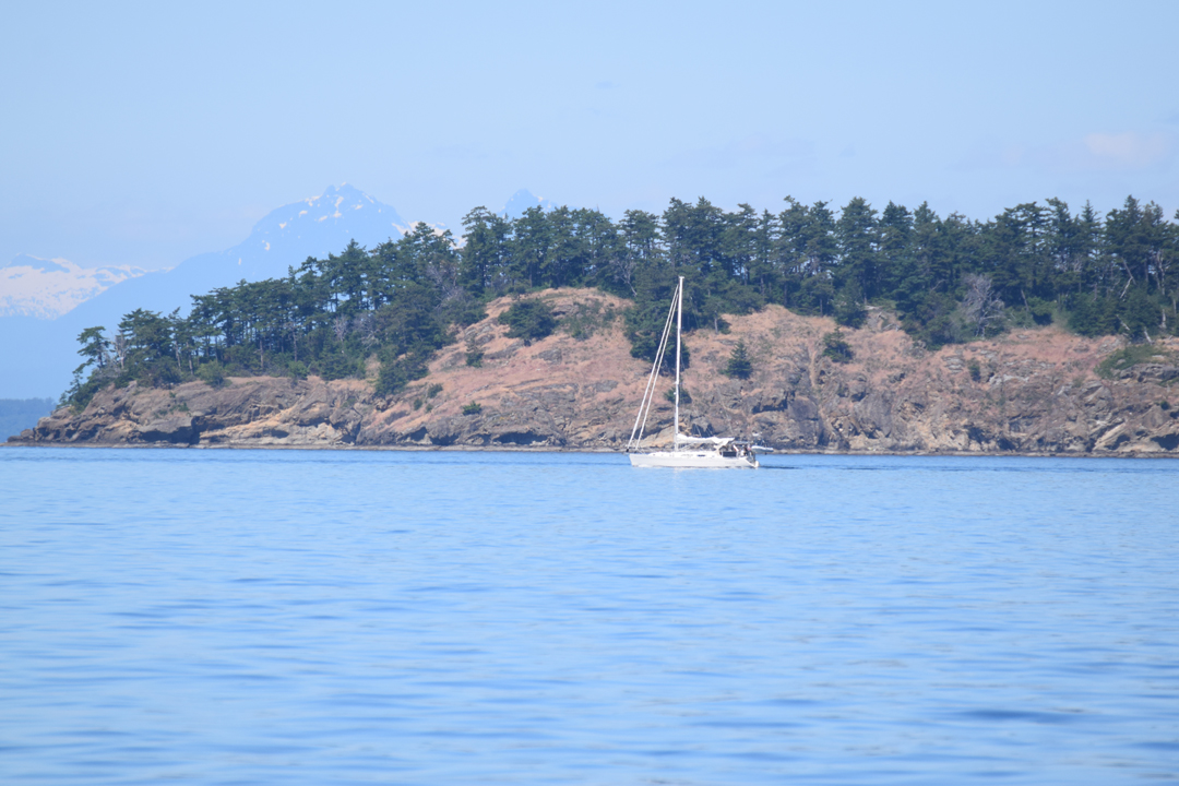DSC_1005 (102)