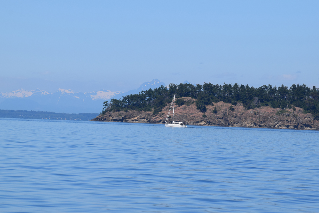 DSC_1005 (104)