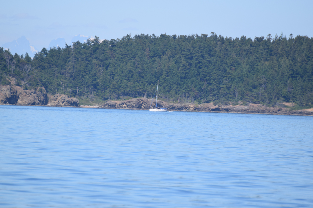 DSC_1005 (106)
