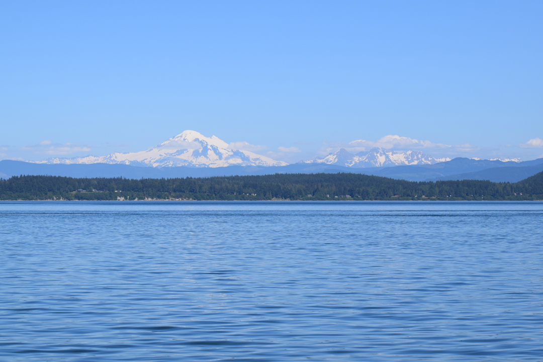 DSC_1005 (107)