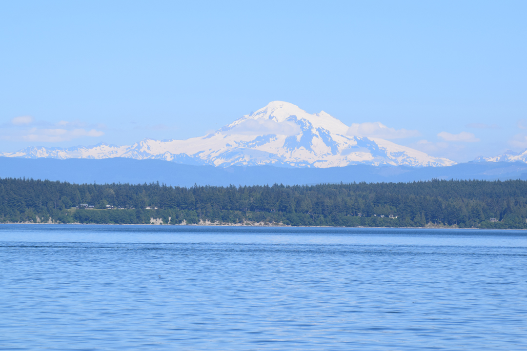 DSC_1005 (109)