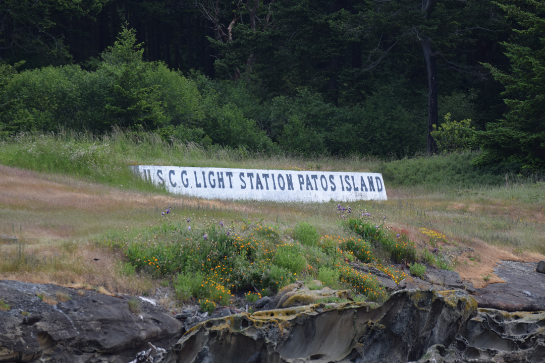 DSC_1005 (11)