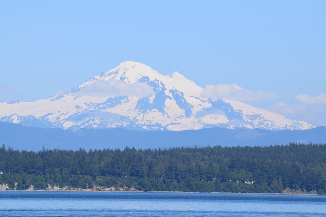 DSC_1005 (110)