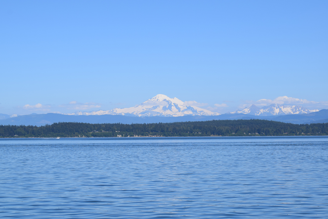 DSC_1005 (112)