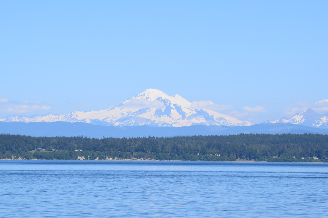 DSC_1005 (113)