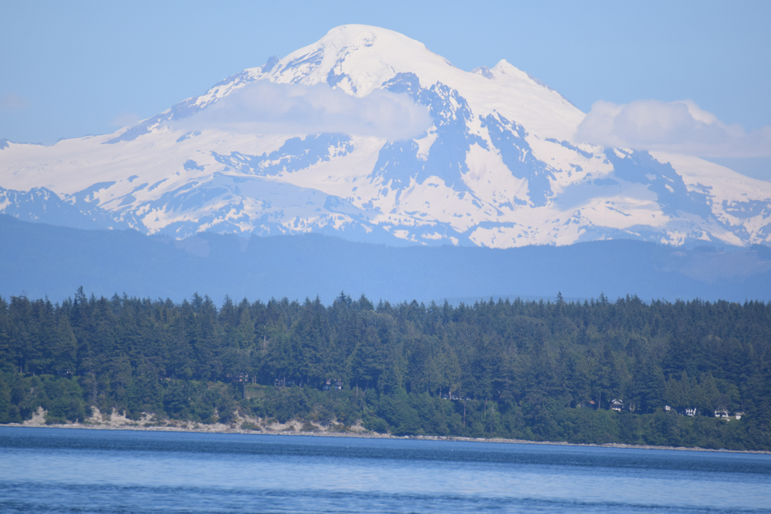 DSC_1005 (115)