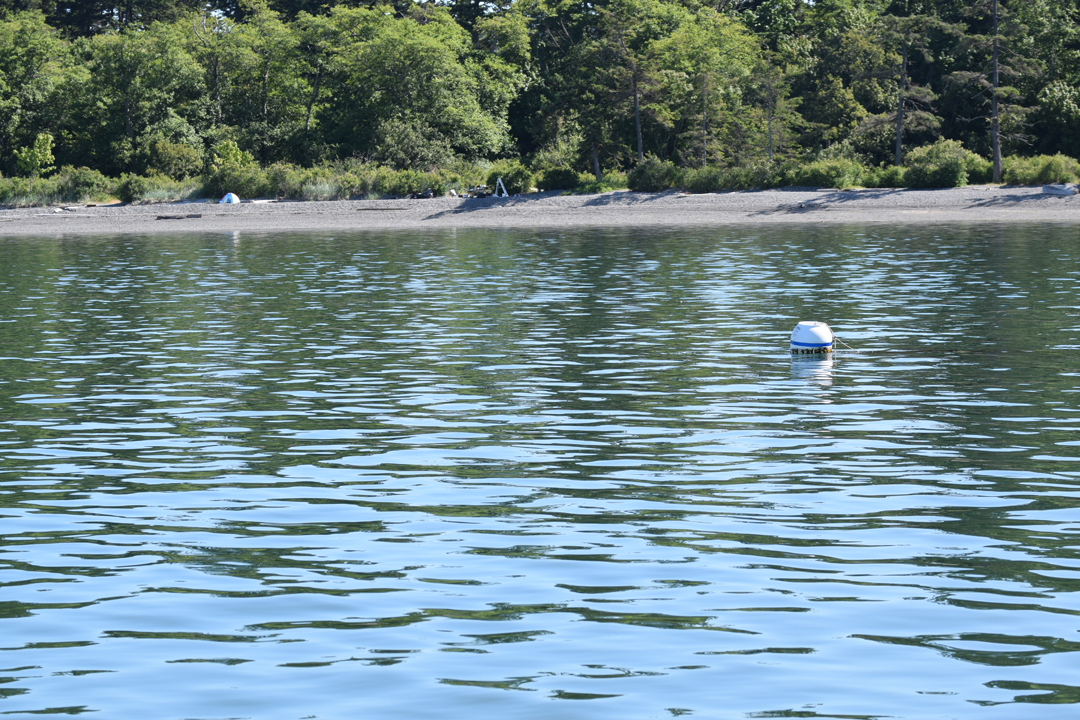 DSC_1005 (124)