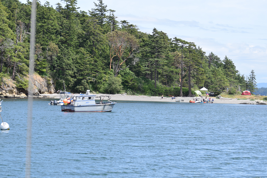 DSC_1005 (15)