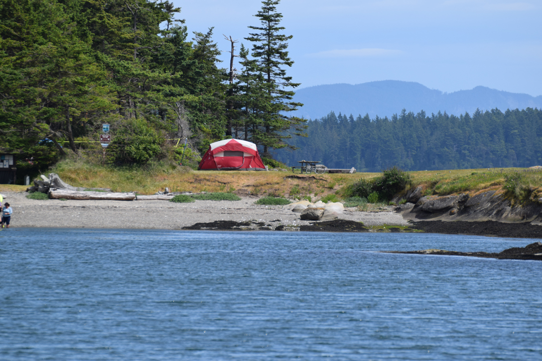 DSC_1005 (20)