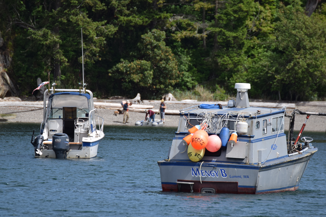 DSC_1005 (22)
