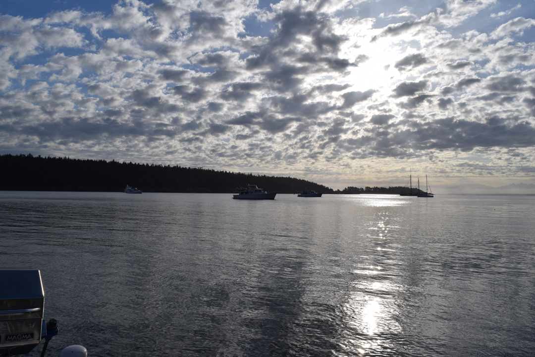 DSC_1005 (3)