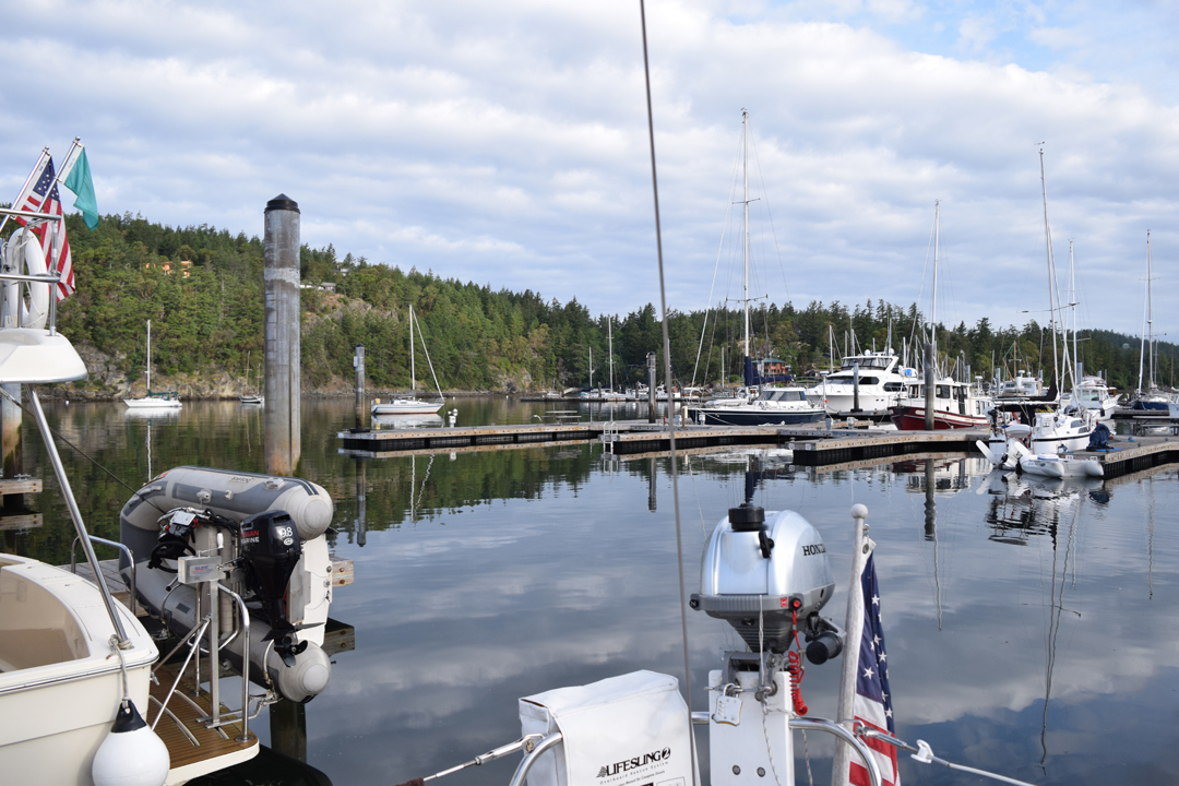 DSC_1005 (36)
