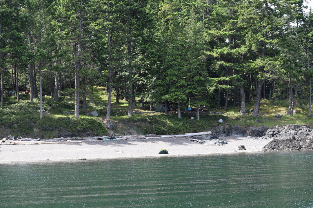 DSC_1005 (39)