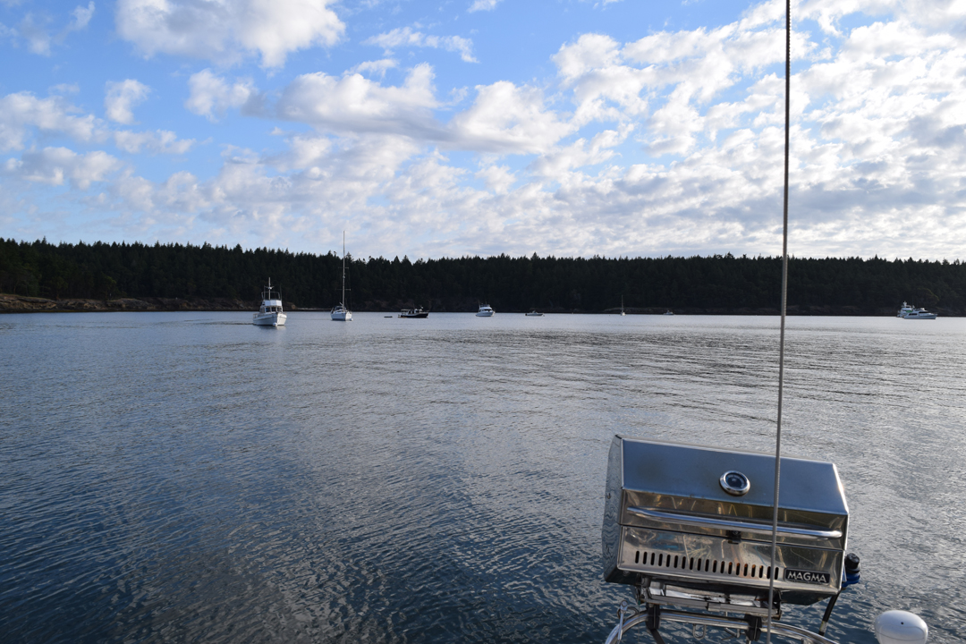 DSC_1005 (4)