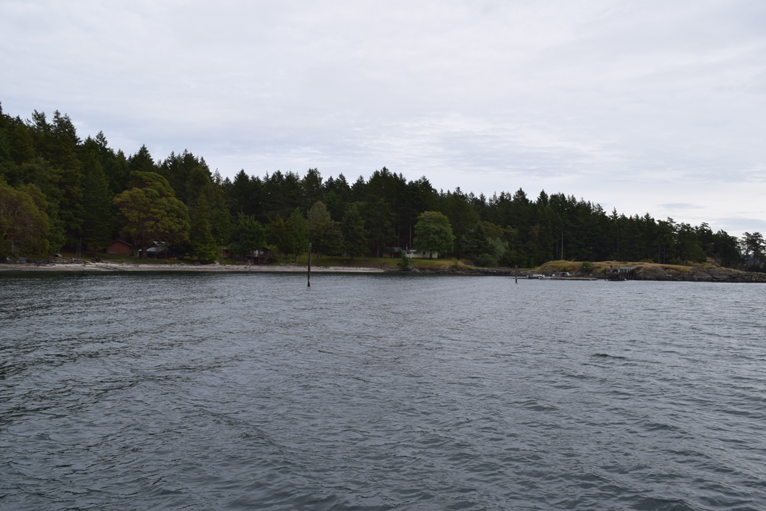 DSC_1005 (49)