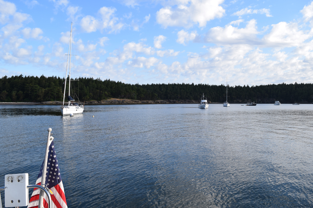 DSC_1005 (5)