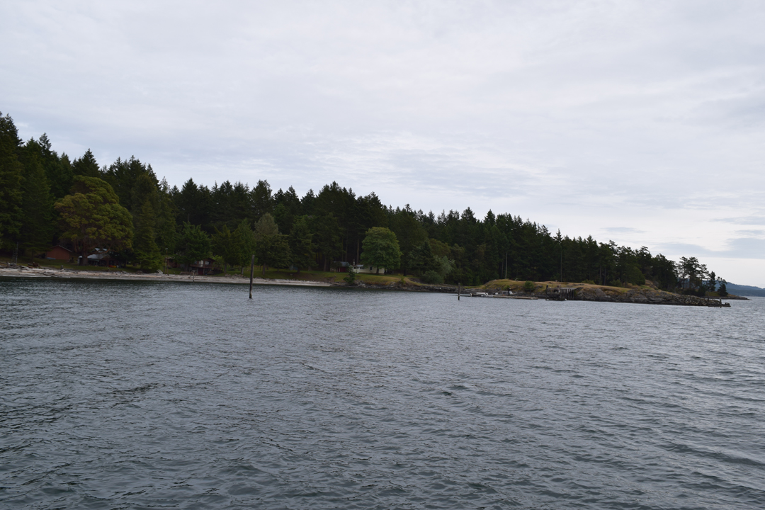 DSC_1005 (50)