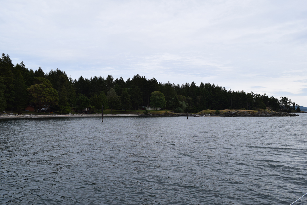 DSC_1005 (51)