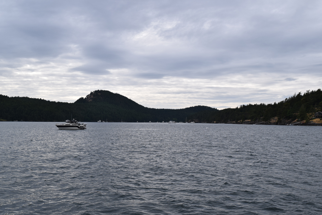 DSC_1005 (52)