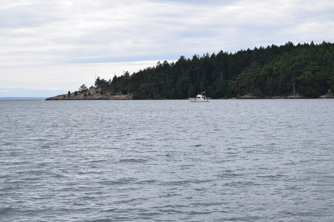 DSC_1005 (56)