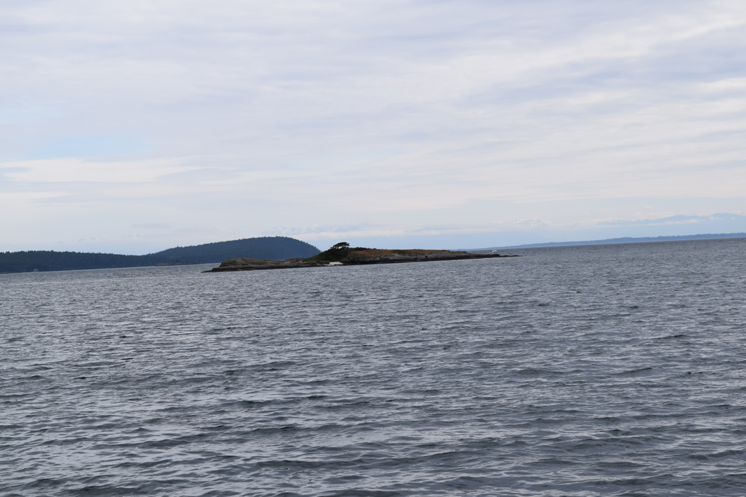 DSC_1005 (57)