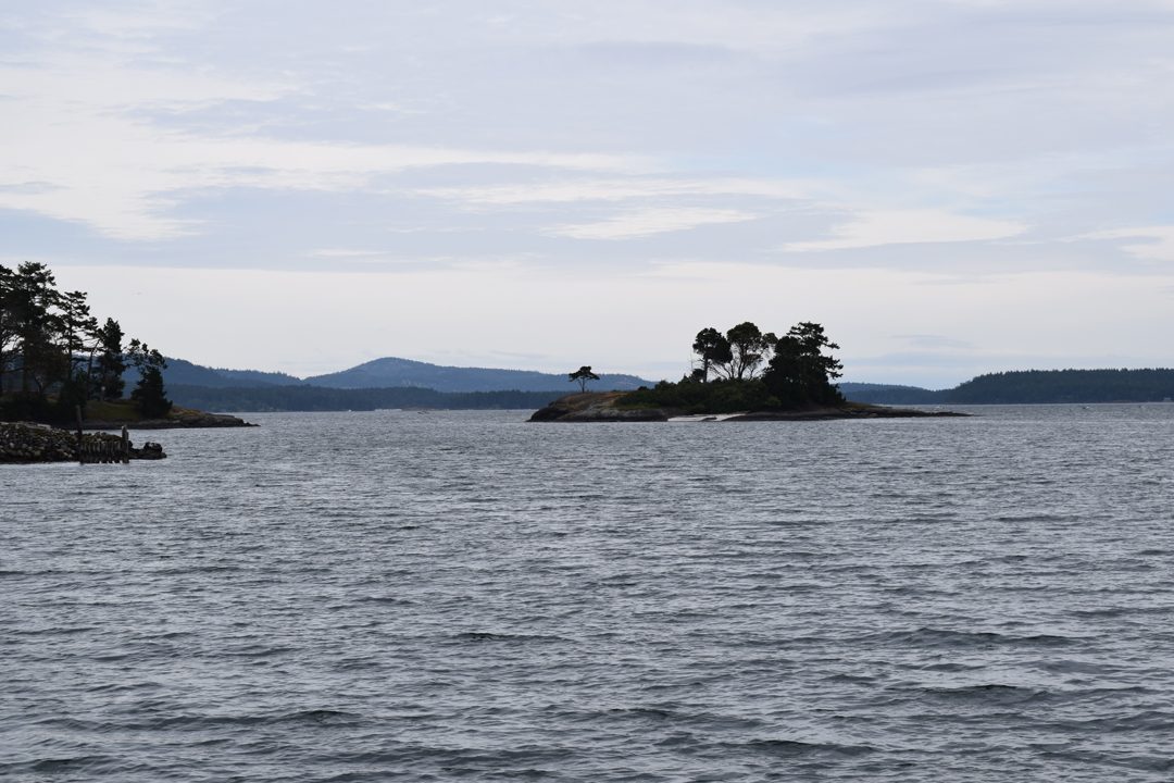 DSC_1005 (58)