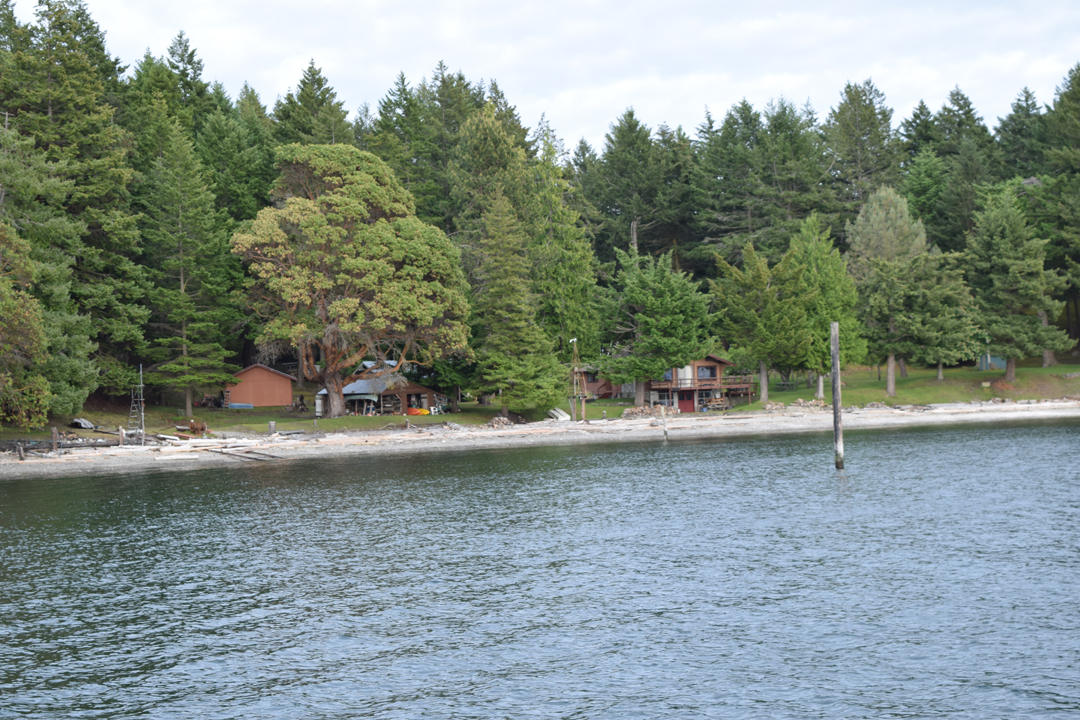 DSC_1005 (60)