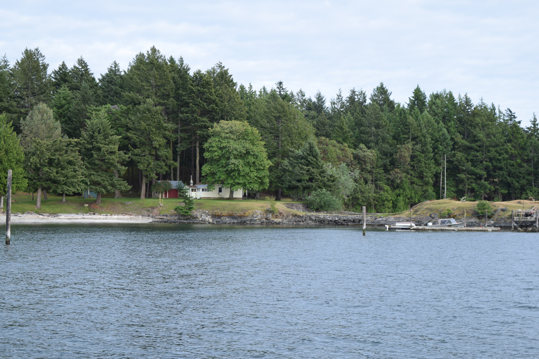 DSC_1005 (61)