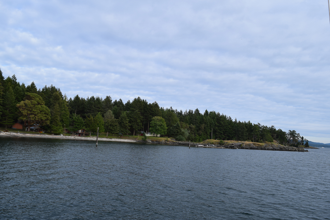 DSC_1005 (65)