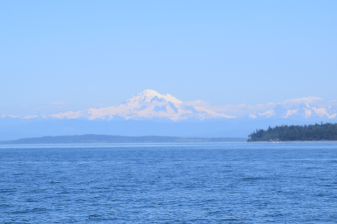 DSC_1005 (66)