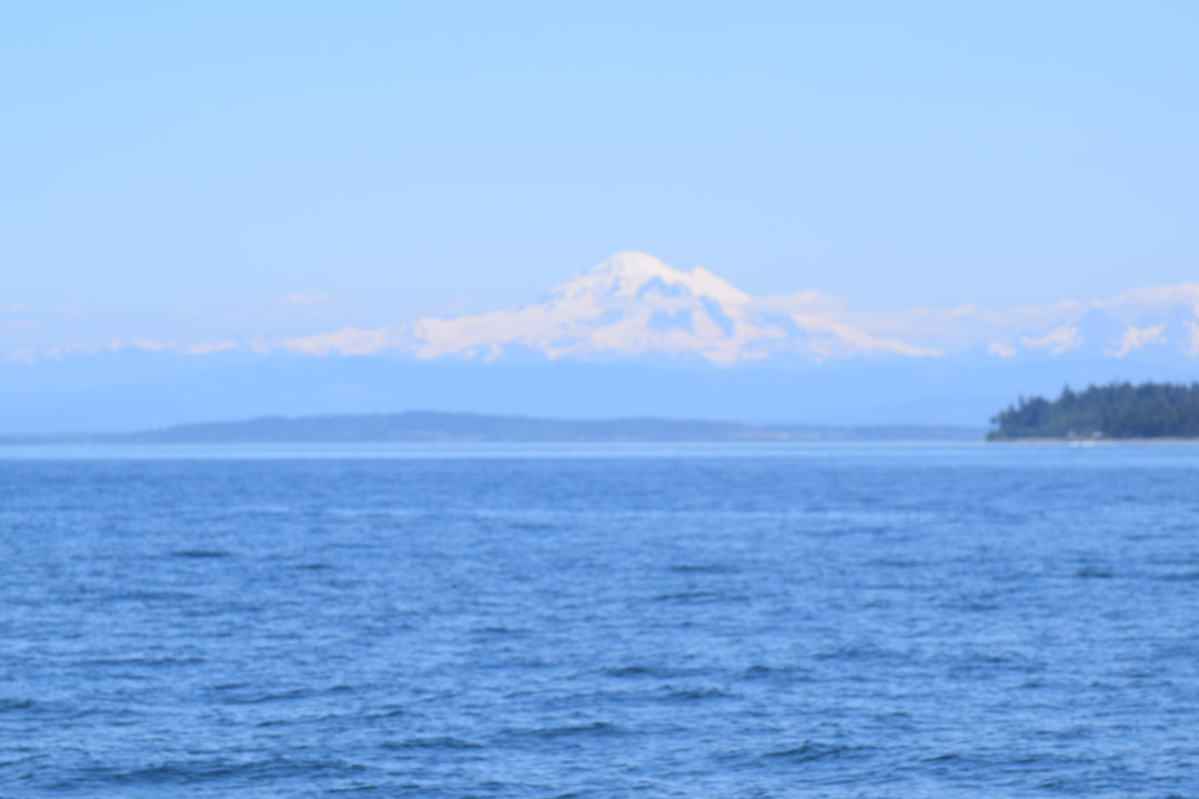 DSC_1005 (67)