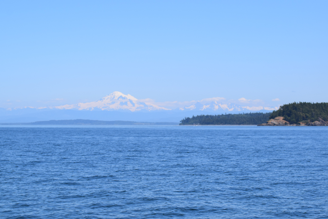 DSC_1005 (68)