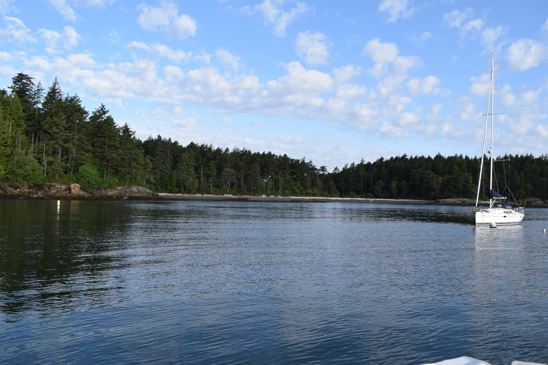 DSC_1005 (7)