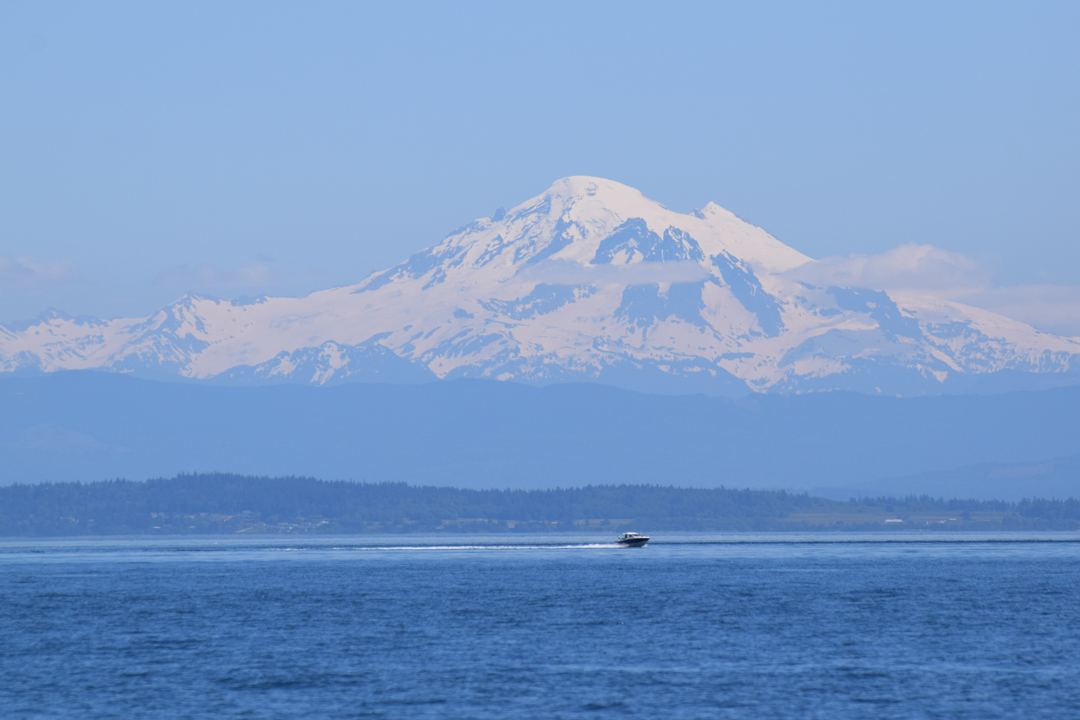 DSC_1005 (70)