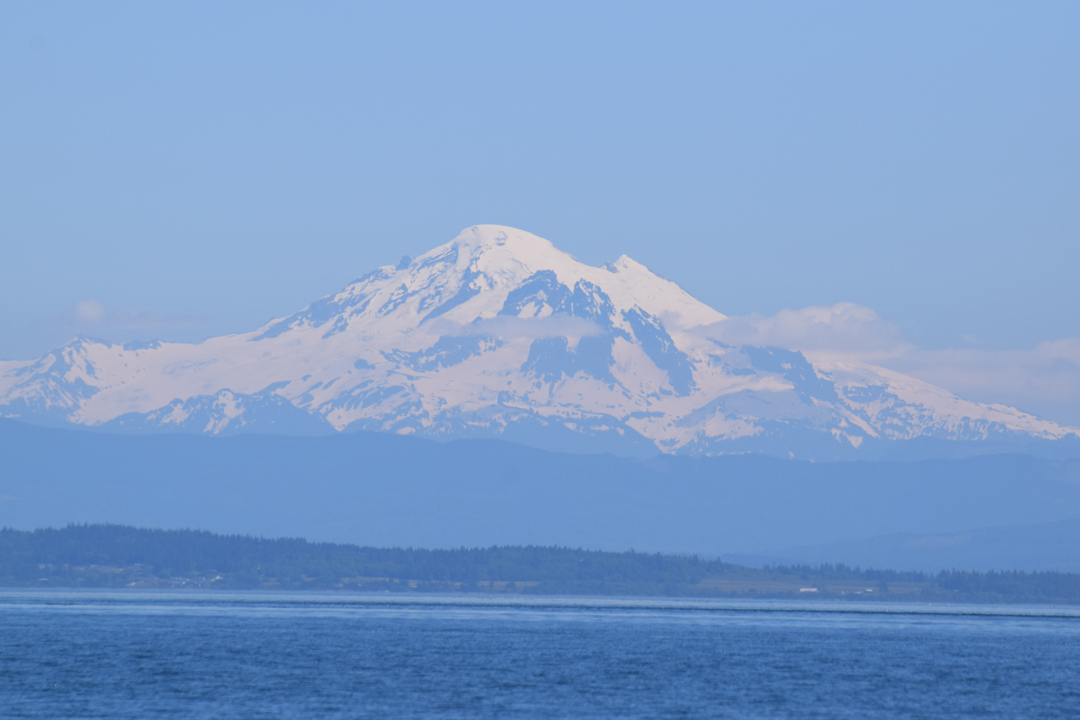 DSC_1005 (71)