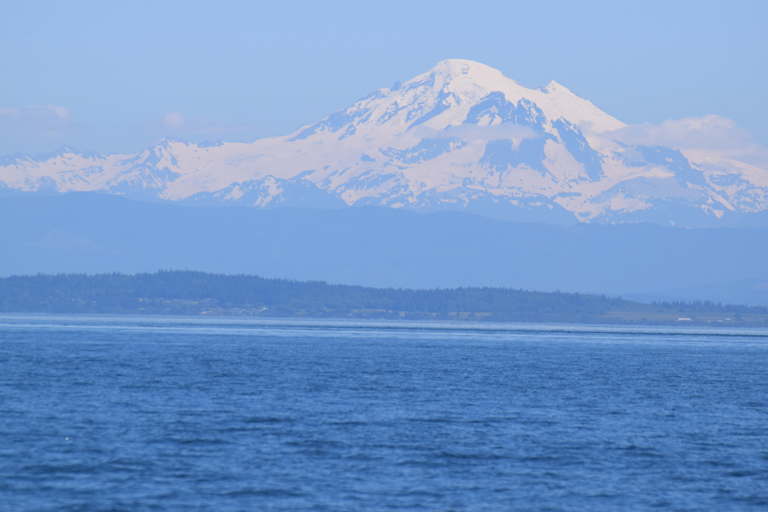 DSC_1005 (72)