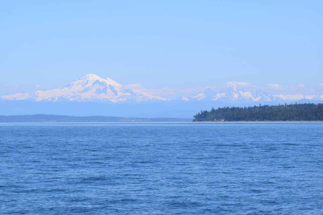 DSC_1005 (73)