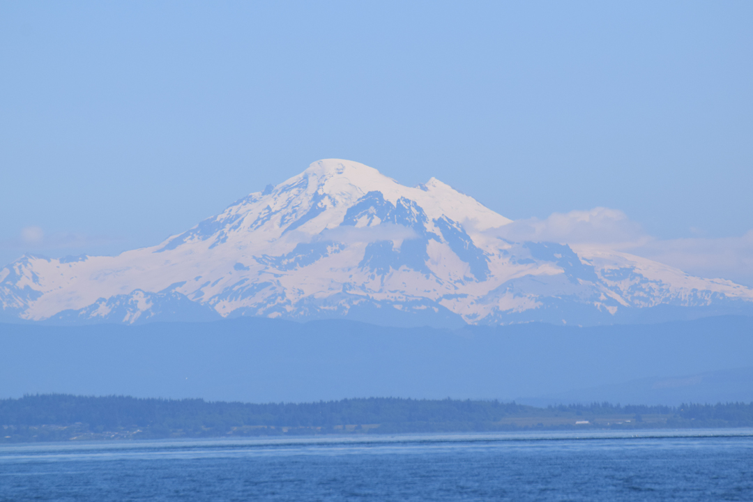 DSC_1005 (74)