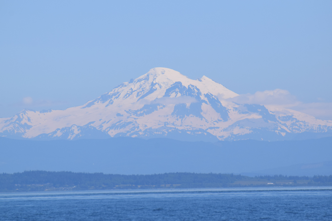 DSC_1005 (75)