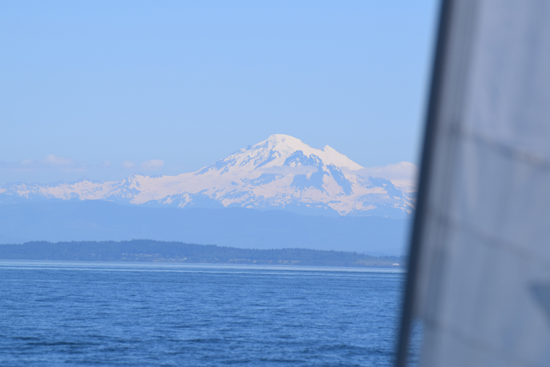DSC_1005 (80)