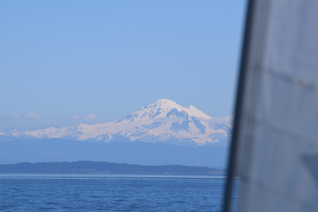 DSC_1005 (81)