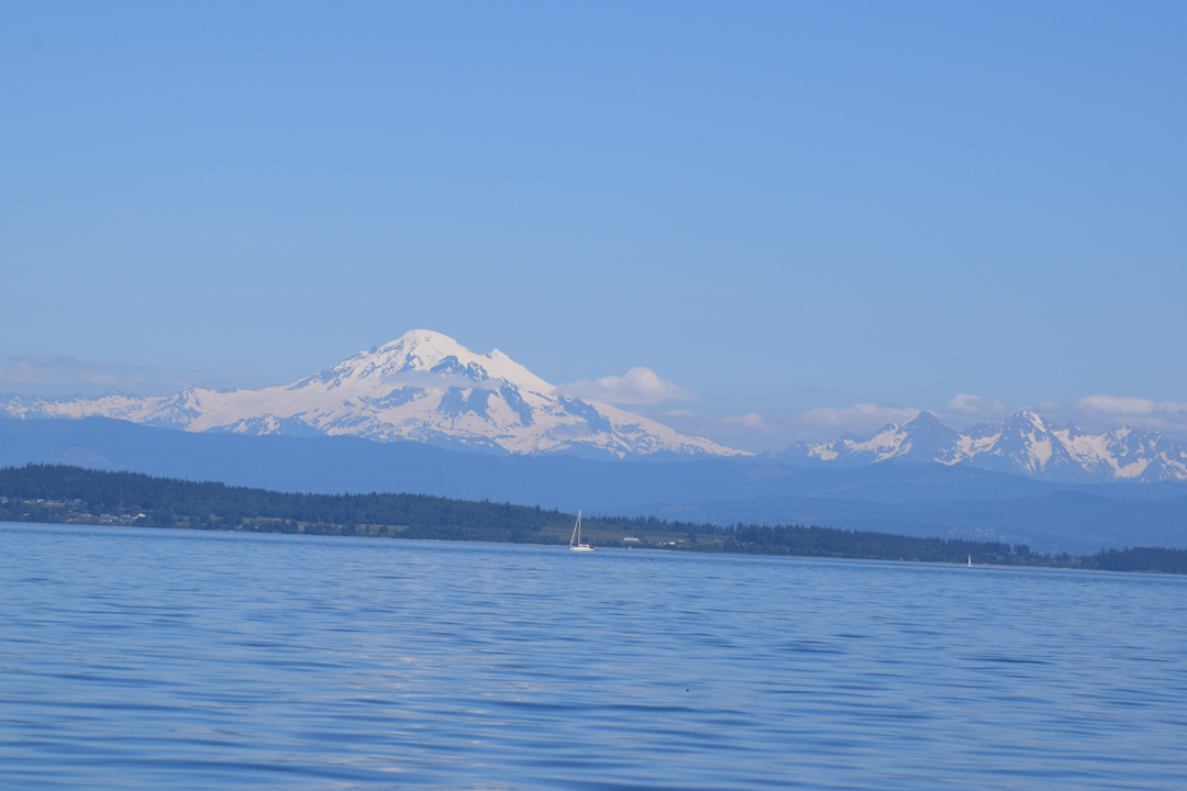 DSC_1005 (83)