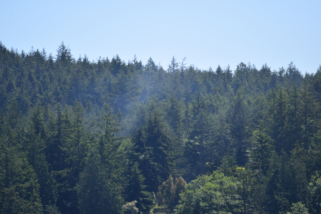 DSC_1005 (92)