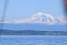 DSC_1005 (100)