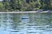 DSC_1005 (119)