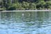 DSC_1005 (122)