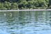 DSC_1005 (123)