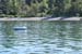 DSC_1005 (126)